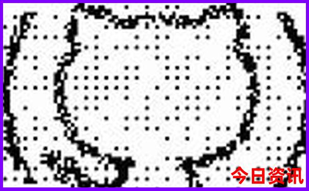 暑假到哪里去旅游建议几个地方